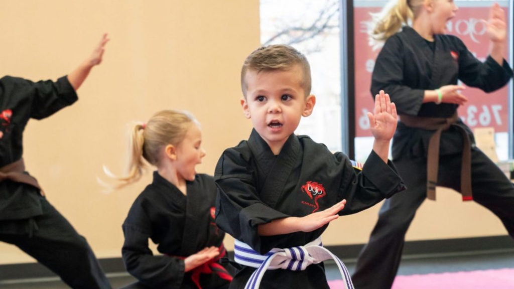 2-dojo-karate-Photo-summer-fun-mn