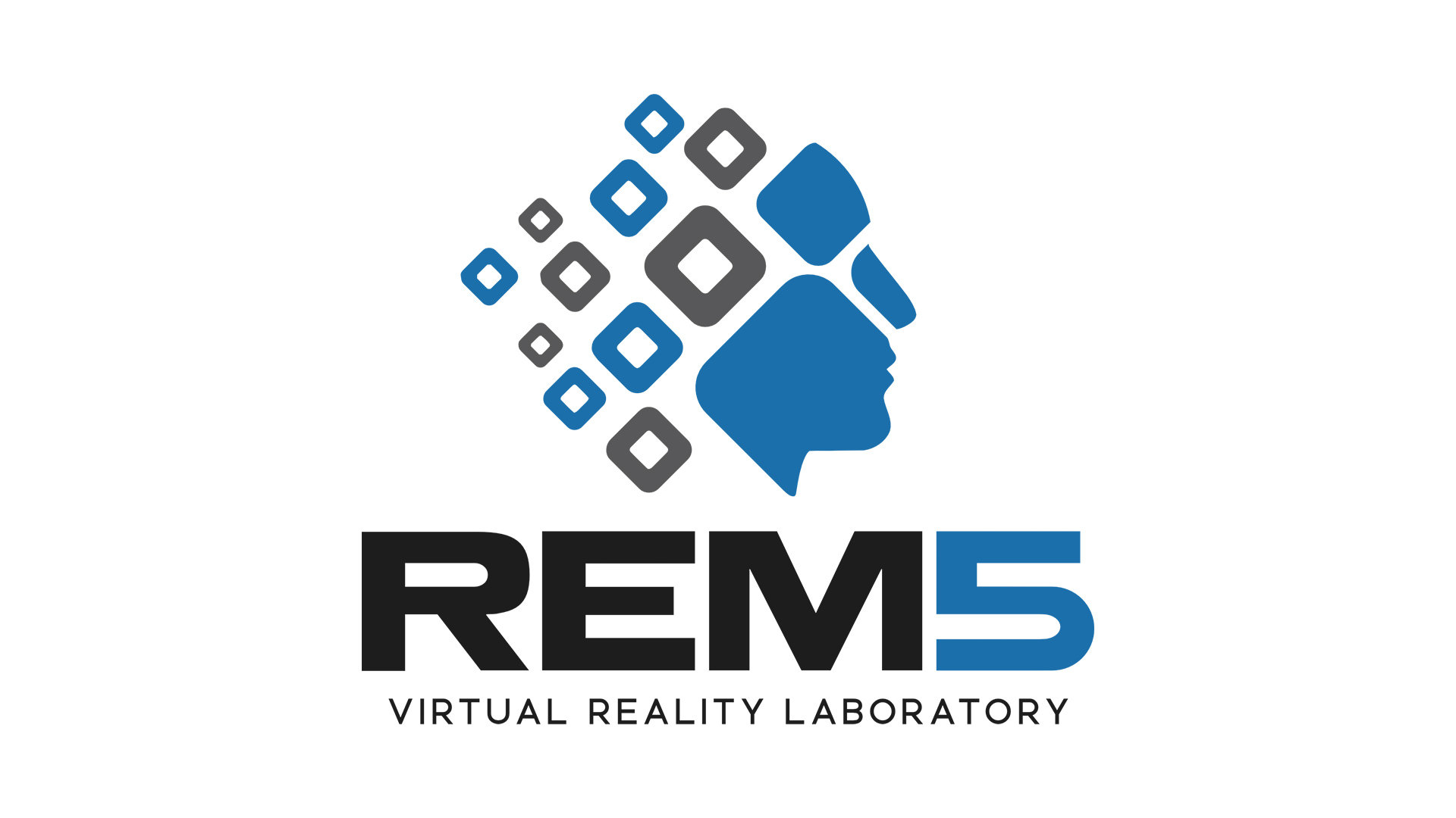 REM5 Virtual Reality Laboratory Summer Fun MN